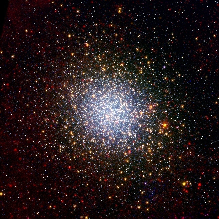 Omega Centauri  NGC 5139  composite image Omega Centauri  NGC 5139 . Composite infrared and optical image of the Omega Centauri globular cluster. Globular clusters are spherical groups of very old stars, about 12 billion years old, that are tightly bound by gravity and orbit a dense central core. This is the largest globular cluster found in our galaxy  the Milky Way  and is much larger than most others. It spans 150 light years across and contains as many as 10 million stars. Omega Centauri lies about 18,000 light years from Earth, in the constellation Centaurus. Infrared image taken by the Spitzer Space Telescope, optical image taken by the four metre Victor M Blanco telescope at the Cerro Tololo Inter American University, Chile.