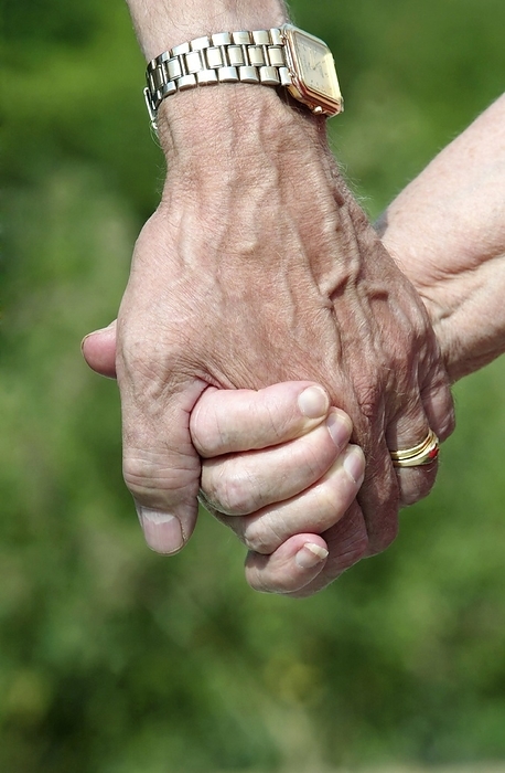 Senior relationship Senior relationship. Close up of two senior people holding hands. Photographed in Namur, Belgium.