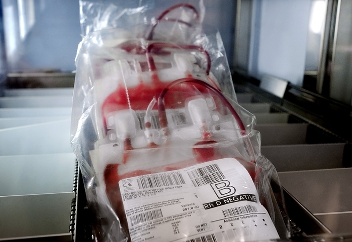 Red blood cells Red blood cells. Packs of Rhesus D negative leucocyte depleted red blood cells in an additive solution awaiting testing in a hospital pathology laboratory. Photographed at Queen Alexandra Hospital, Portsmouth, UK.