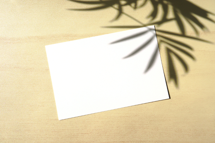 White card with table palm shadow 3