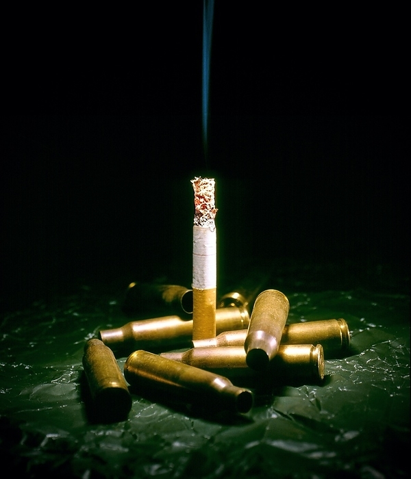 Cigarette deaths, conceptual image Cigarette deaths, conceptual image. Lit cigarette amongst bullets, representing the deaths caused by smoking tobacco. Cigarettes contain the addictive drug nicotine and cancer causing substances. Smoking is a major cause of lung disorders and cancers.