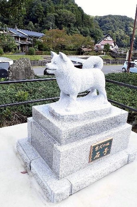dog that brings a town to life Stone statue of Ishigo go, a Shishu dog believed to be the root of the Shiba Inu  in Masuda City .