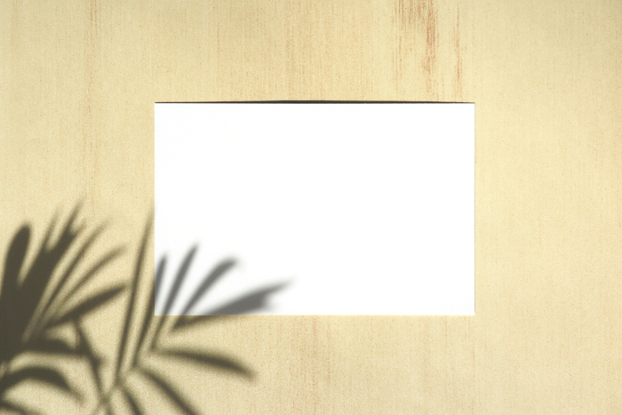 White card with table palm shadow 12