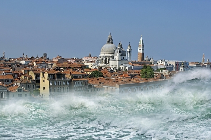Tsunami striking Venice, montage image Tsunami striking Venice. Montage image of the surging waters of a tsunami about to envelop the city of Venice, Italy. St Mark s Basilica  domed building  and the associated bell tower  St Mark s Campanile, green spire  are part of the skyline. Venice is a city of islands and canals in a lagoon in what is now north eastern Italy. It was a major maritime power during the Middle Ages and Renaissance, and today is a popular tourist destination. Tsunamis are natural disasters where underwater earthquakes, landslides, or volcanic eruptions cause the sea to surge onto the land with great destructive power.