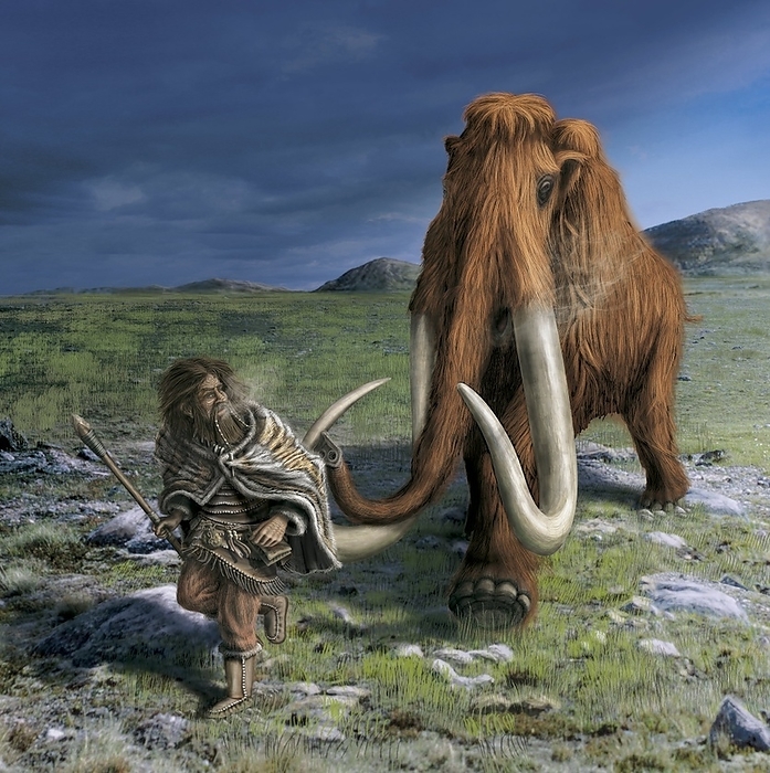 Mammoth chasing a caveman, artwork Mammoth chasing a caveman, computer artwork. Mammoths  Mammuthus sp.  were large mammals, weighing on average around 6 to 8 tonnes, which were found across North America, Europe and Asia from the Pliocene Epoch  around 4.8 million years ago  into the Pleistocene epoch  around 4500 years ago . The majority of mammoths died out around 10,000 BCE.