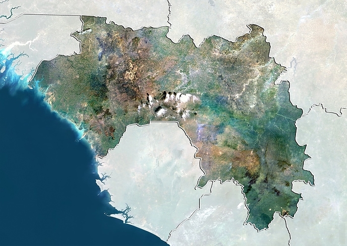 Guinea, satellite image Guinea, satellite image. North is at top. Natural colour satellite image showing Guinea, with the surrounding territories shaded out. Guinea is located in West Africa. It is bordered by Guinea Bissau  upper left , Senegal  top left , Mali  upper right , Cote D Ivoire  Ivory Coast, lower right , Liberia  bottom right  and Sierra Leone  lower left . The Atlantic Ocean  blue  can also be seen. Image compiled from data acquired by the LANDSAT 5 and 7 satellites, in 2000.