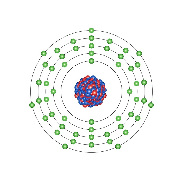 Iodine, atomic structure Iodine  I . Diagram of the nuclear composition and electron configuration of an atom of iodine 127  atomic number: 53 , the most common isotope of this element. The nucleus consists of 53 protons  red  and 74 neutrons  blue . 53 electrons  green  bind to the nucleus, successively occupying available electron shells  rings . The stability of an element s outer electrons determines its chemical and physical properties. Iodine, present in thyroid hormones and some seaweeds, is a halogen in group 17, period 5, and the p block of the periodic table. In elemental form it is a blue black solid  I2  that melts at 113 degrees Celsius.