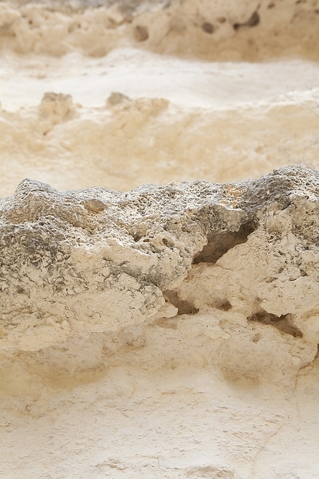 Limestone layers Coarsa shelly beds in fine grain limestone