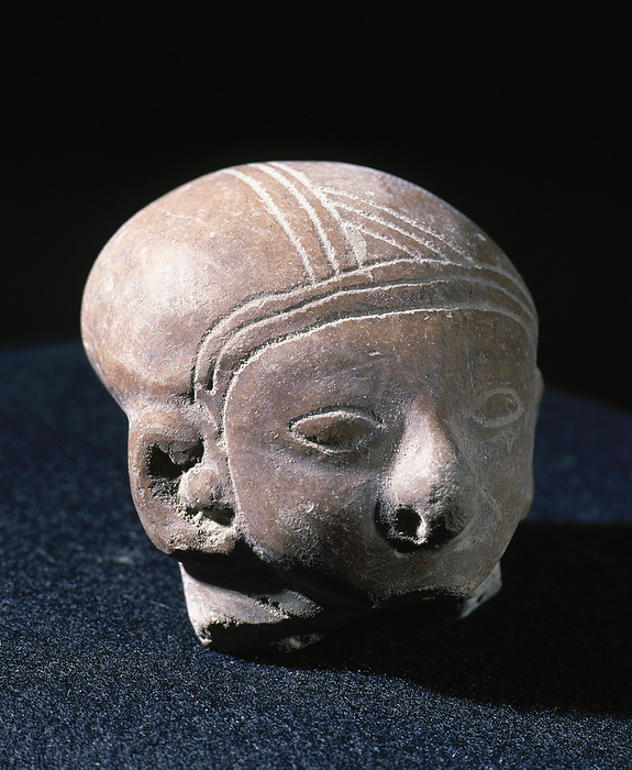 Pre Incan. Guangala Culture. 300 200 a 700 800 DC. Clay head with eyes and ornaments. From Ecuador.  Pre Columbian art. Pre Incan. Guangala Culture.300 200 a 700 800 DC. Clay head with eyes and ornaments. Hair done with incisions. 5 x 5 cm. From Ecuador. Private collection.