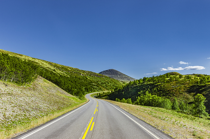 Country road through Scandinavian landscape in summer, Photo by Busse & Yankushev