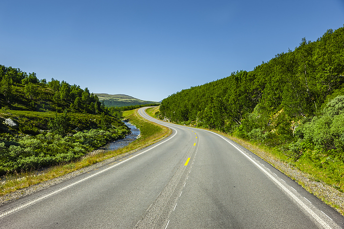 Country road through Scandinavian landscape in summer, Photo by Busse & Yankushev