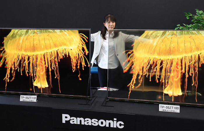Panasonic unveils transparent OLED panel November 20, 2020, Kadoma, Japan   Japanese electronics giant Panasonic unveils 55 inch sized transparent organic light emitting diode  OLED  panel at the company s laboratory in Kadoma city in Osaka on Friday, November 20, 2020. Panasonic will put two models on the market next month, one is see through model and another is dimmable model with dimming unit which can display high contrast and clear images.        Photo by Yoshio Tsunoda AFLO  