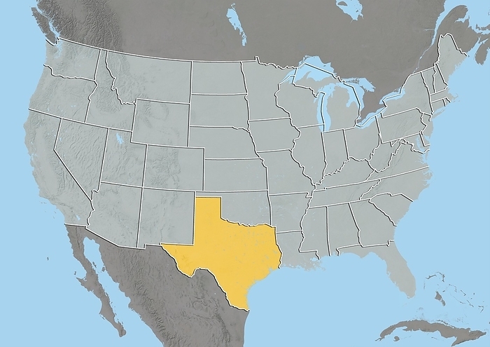 Texas, USA, relief map Texas, USA. North is at top. Relief map compiled from satellite data of the USA, showing the state of Texas  yellow , with the surrounding states shaded out  grey . The USA consists of 50 states. 48 are situated in southern North America, with the other two being Alaska and Hawaii. Texas is located in the South Central United States and has a shoreline along the Gulf of Mexico  blue . Image compiled from data acquired by the LANDSAT 5 and 7 satellites, in 2000. Images highlighting all other regions of this country are available. For further information please contact SPL.