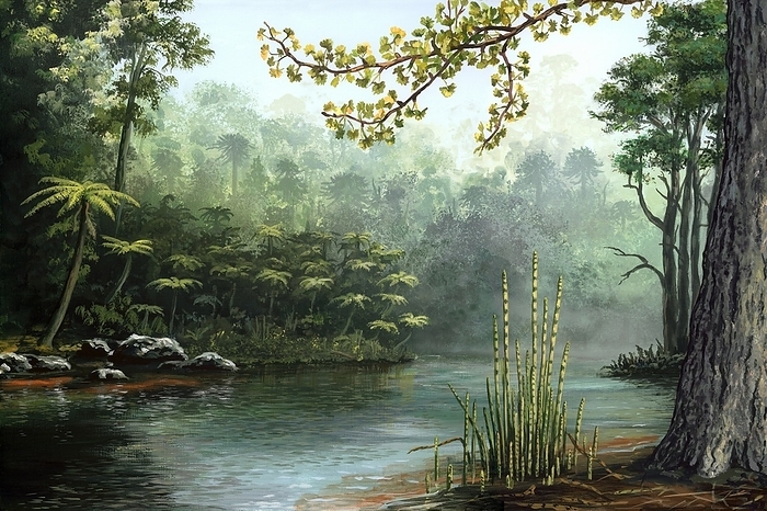 Jurassic landscape, artwork Jurassic landscape. Artwork showing typical plants along a river during the Jurassic  200 to 145 million years ago . The trees in the background are Araucaria. Across the river at left are tree ferns and pine trees. The plants in the foreground at right are Ginkgo  leaves on branch at top  and horsetail  Equisetum columnare, lower right .