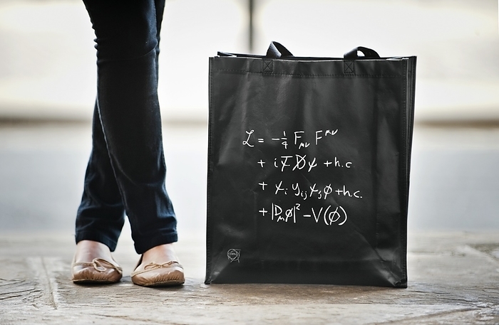 Standard Model bag A popular item of merchandising supplied by CERN is this shopping bag which carries the  Standard Model equation  describing the current understanding of fundamental forces and particles. In the equation the top line describes the forces of electricity, magnetism and both strong and weak nuclear forces,. How these forces act on quarks and leptons, the fundamental particles of matter, is seen in the second line. CERN, with the Large Hadron Collider, is experimenting to verify the predictions of the third and fourth lines which describe how the Higgs boson gives mass to these particles, enabled by the processes of the fourth line of the equation.