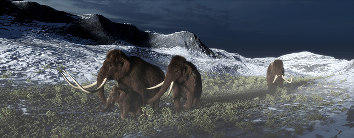 Mammoth family, illustration 3D illustration of a small family of woolly mammoths  Mammuthus primigenius  roaming the Eurasian mammoth steppe 30,000 years ago.