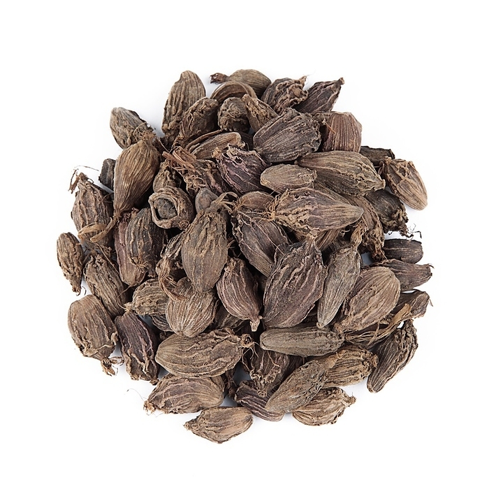 Black cardamom seed pods Black cardamom  Alpinia oxyphylla  seed pods. This spice is related to ginger and contains a similarly pungent, aromatic essential oil. It is used to flavour food.