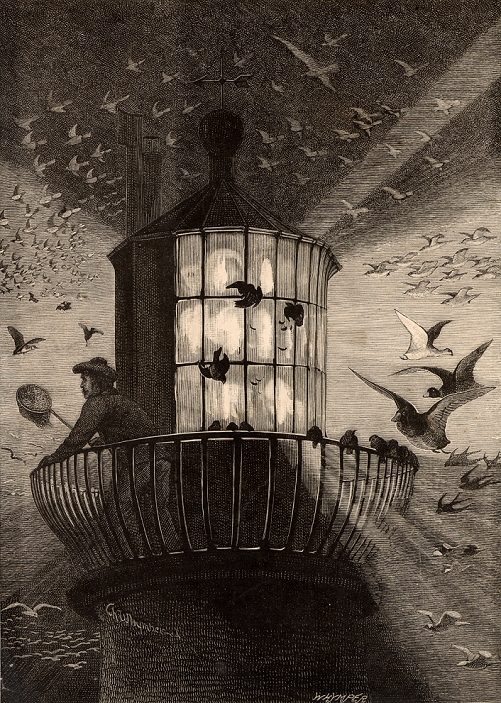The lantern of the Eddystone lighthouse built on the Stone 13 miles South-east of Polperro, Cornwall, England, being used to observe migrating birds. This practice began in the Autumn of 1878. Illustration by Charles Whymper (1853-1941) from The Quiver (London, 1882).