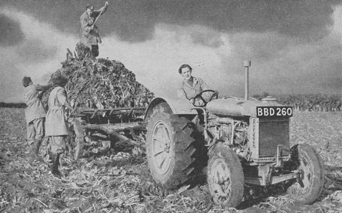 Tractor  1940  Women s Land Army lifting a crop, 1940. Among the many skills these young women, often city girls, was tractor driving. World War II .