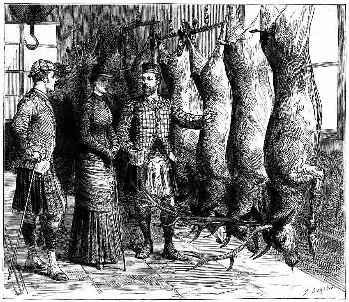 Duke of Fife's game larder, 1881. The Prince and Princess of Wales (Edward VII and Queen Alexandra from 1901) being shown the Duke of Fife's game larder during a deerstalking holiday in the Forest of Mar, Scotland. From The Graphic. (London, 1881). Wood engraving.