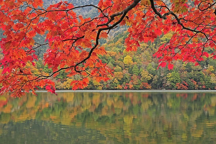 Tochigi Prefecture, Oku-Nikko Lake of Autumn Foliage Hot Spring