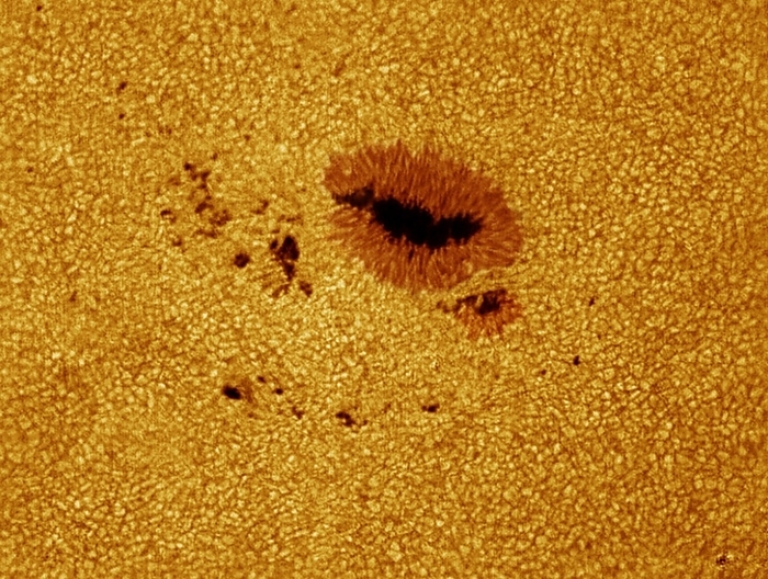 Sunspots Sunspots  dark areas  on the surface of the Sun. Sunspots are areas of magnetic activity that are cooler than the rest of the Sun s surface. They range in size from hundreds to thousands of kilometres across. The darkest regions  nearly vertical magnetic fields  are the umbras, surrounded by penumbras  bronze regions . The yellow background consists of convection cells called solar granules, each around 1000 kilometres across. This sunspot  part of AR 1793 , developed this elongated shape after its appearance several days earlier  C019 3779 . It was observed with a Baader white light filter on 20 July 2013.