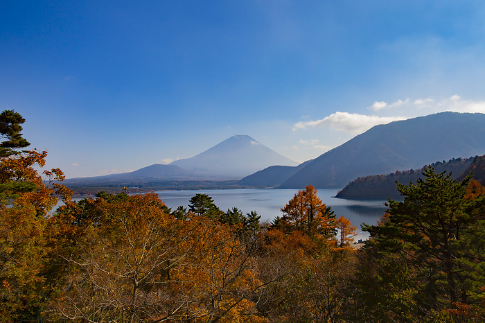 Fuji and Motosu Lake in autumn leaves, Yamanashi Prefecture