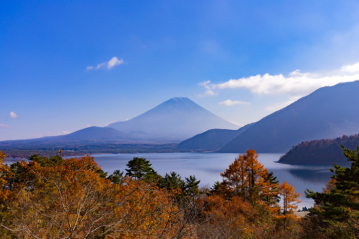 Fuji and Motosu Lake in autumn leaves, Yamanashi Prefecture