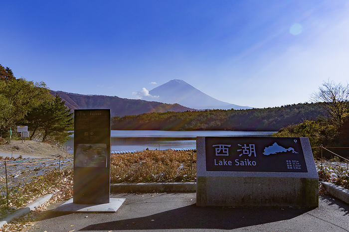 Yamanashi Fuji in Autumn Color and Lake Saiko
