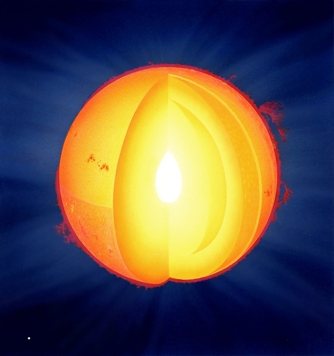 Internal structure of the Sun, artwork Internal structure of the Sun, cutaway artwork. At the Sun s core  white  hydrogen atoms undergo nuclear fusion, producing helium atoms and releasing heat and light energy as photons. These radiate outwards through the inner region  radiative zone  to the outer convection zone layer. Here, solar plasma rises in thermal columns to the visible surface  photosphere . Intense magnetic fields on the surface of the Sun inhibit convection, causing regions of lower temperature  sunspots, dark spots, centre left . Solar prominences  red, some at right  are shown erupting from the Sun s surface.