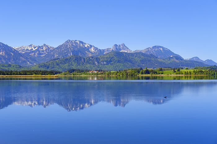 Scenic view of Tannheim Mountains reflecting in Hopfensee lake