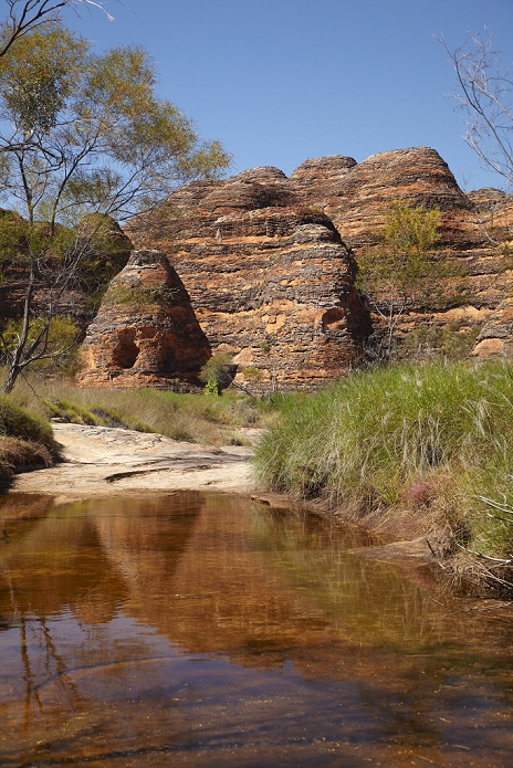 Purnululu National Park, Australia Track past  Beehives  and waterhole to Cathedral Gorge, Bungle Bungles, Purnululu National Park, Kimberley Region, Western Australia, Australia