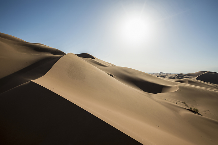 Morocco sand dunes, near Merzouga, Erg Chebbi, Sahara Desert, Morocco, Africa, Photo by Daniel Schoenen Fotografie