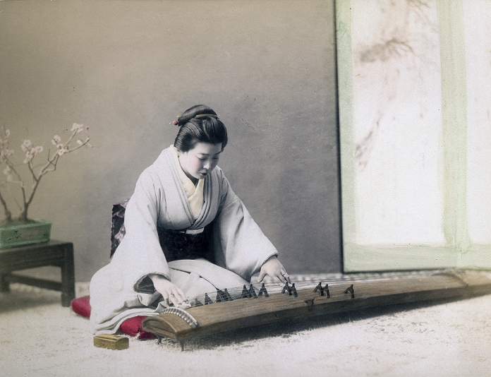 Koto  1890s  A woman in kimono and traditional Japanese hairstyle plays the koto, a kind of harp. Players use three finger picks  on thumb, forefinger, and middle finger  and adjust the string pitches by moving bridges. The 13 stringed koto is derived from the Chinese guzheng an was introduced to Japan in the 7th to 8th century. Initially only played at the royal court, it became a common instrument during the 17th century.  Original text:  A koto player. The koto is the most important of Japanese instruments, and proficiency in playing upon it is highly esteemed. The tones evoked have but little resonance, and the compositions are so peculiar as to be unintelligible to foreigners.  Albumen photograph sourced by Kozaburo Tamamura  1856 1923 , 1890s, for  Japan, Described and Illustrated by the Japanese , Shogun Edition edited by Captain F Brinkley. Published in 1897 by J B Millet Company, Boston Massachusetts, USA.