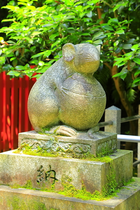 Komamats at Otoyo Shrine Kyoto City, Kyoto Prefecture