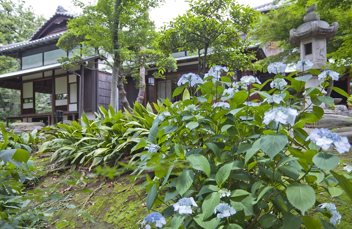 Tokyo Former Asakura Residence