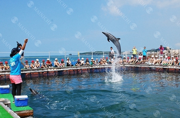 Nanki Tanabe Beachside Dolphin Pre opening: Dolphins jumping in front of preschoolers and children Tanabe   Wakayama Dolphins jumping in front of preschoolers and children at Ougibama Beach in Tanabe City, July 1, 2016 July 4, 10:26 a.m.