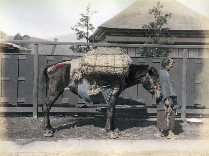 Bako  Date of photograph unknown  A farmer or a mago  pack horse driver  and his horse packed with rice bales. The horse wears straw horse shoes to protect the hooves. Pack horse drivers were looked down upon by townspeople and a common expression, used as late as the 1940s, was someone as barbarous and uneducated as a rider. Pack horse drivers were looked down upon by townspeople and a common expression, used as late as the 1940s, was  me as barbarous and uneducated as a rickshaw man or pack horse driver   Shafubatei no yakara .