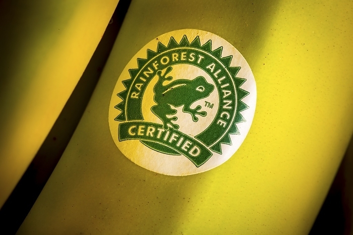 Rainforest Alliance label on banana Rainforest Alliance label on bananas. It is a non governmental organisation promoting better farming practices, conservation, biodiversity and sustainable livelihoods.