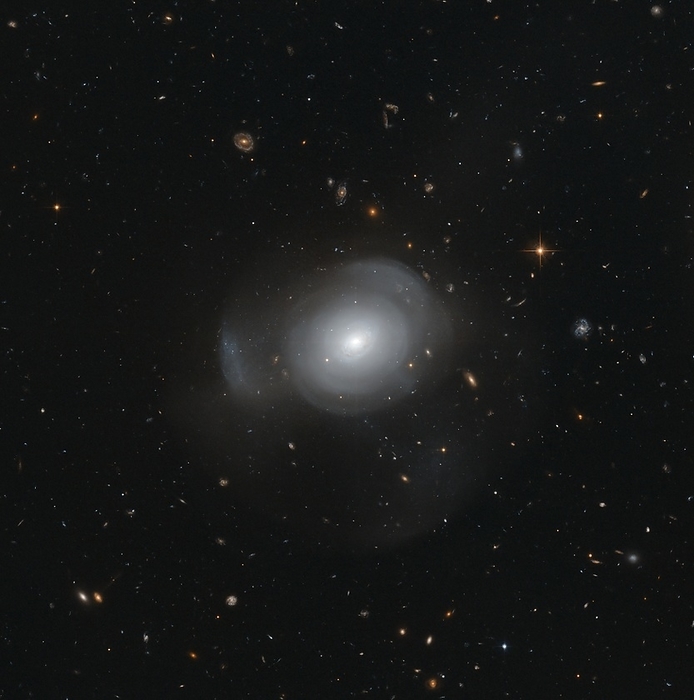 Galaxy PGC 6240, Hubble image Hubble Space Telescope image of galaxy PGC 6240, with distant galaxies visible in the background. This elliptical galaxy, also known as AM 0139 655 or the White Rose Galaxy, lies in the southern constellation of Hydrus, about 345 million light years away from Earth. It has an unusually uneven structure, and clusters of stars orbiting around it two strong indications that it is the product of a galactic merger in the recent past.