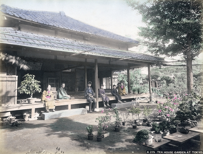 Bonsai  1880s  Bonsai  miniature trees grown in containers  in a Tokyo garden, ca. 1880s. People are sitting on the engawa of the traditional house. A bird cage can also be seen.