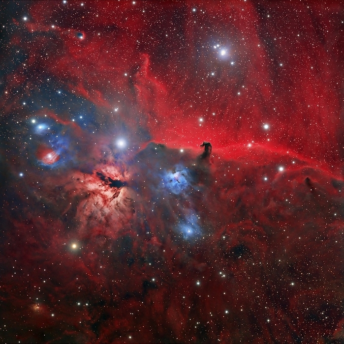Horsehead and Flame nebulae Horsehead and Flame nebulae. Optical image of part of the Orion nebula complex, an enormous starbirth region some 1500 light years from Earth, in the constellation Orion. The Horsehead nebula  Barnard 33, dark, upper centre right  is several light years across and is formed by an intrusion of dust into the emission nebula IC 434. Its red glow is due to the ionisation of hydrogen by radiation from nearby stars. This wide field image shows vast swirls of dust clouds and reflection nebulae  blue . The bright nebula to the left of the Horsehead is the Flame Nebula or NGC 2024.