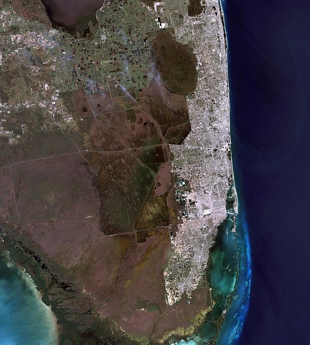 Florida, Landsat 5 image Florida. Satellite image of part of the peninsula of Florida, USA, seen in visible light. North is towards left of top. At right is the Miami Fort Lauderdale urban corridor. At centre are the wetlands of the Everglades. At upper centre are agricultural fields. Biscayne National Park is at bottom right. This image combines data from blue, green and red channels recorded by the Landsat 5 satellite. Image obtained on 10 November 2011. The area shown here is around 160 kilometres across. For the same image with different spectral channels for different land cover features, see images C022 3742 and 3743.