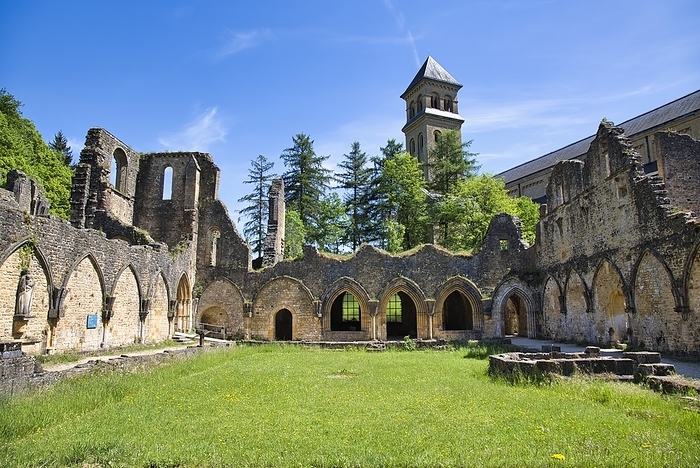 Orval Abbey, medieval monastery ruins
