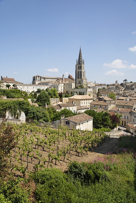 Saint Emilion, France France, Departement Gironde, St Emilion  UNESCO World Heritage , belltower of the monolithic church, houses, vinyard