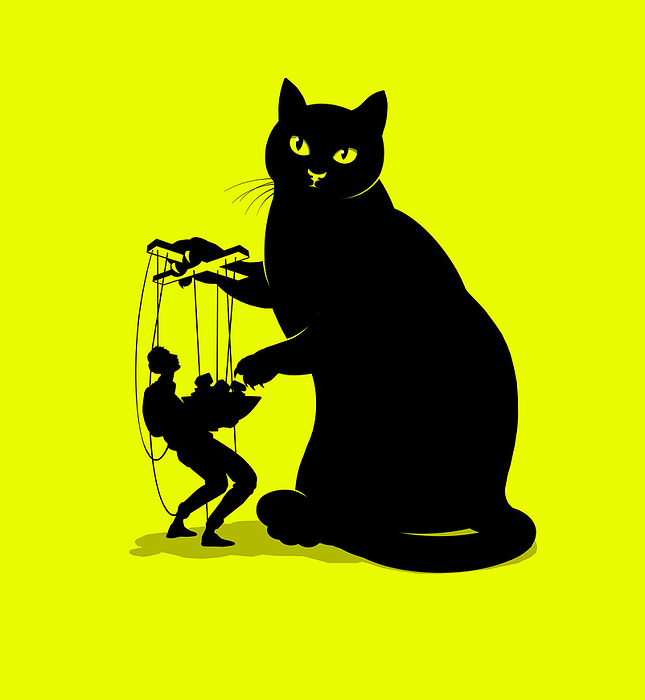 Cat ownership dynamics, conceptual image Cat ownership dynamics. Conceptual image of a silhouetted cat controlling its owner on puppet strings as they provide the cat with food, representing cats manipulating their owners. Studies have shown that some cats use a phenomenon called solicitation purring when they want to be fed.
