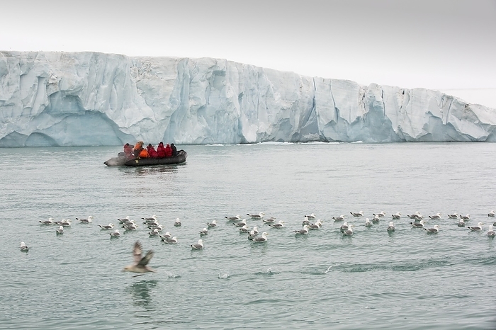 Passengers on Zodiaks Passengers on Zodiaks off the Russian research vessel, Academic Sergey Vavilov an ice strengthened ship on an expedition cruise to Northern Svalbard in front of a glacier with Kittiwakes and Fulmar.
