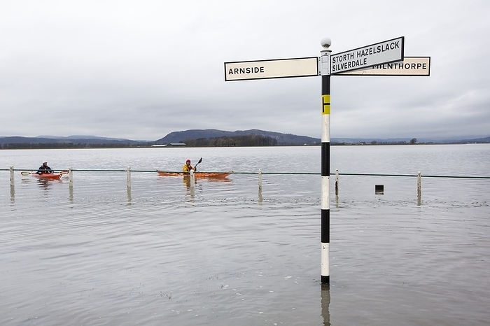 Kayakers in the flood waters Kayakers in the flood waters on the road at Storth on the Kent Estuary in Cumbria, UK, during the January 2014 storm surge and high tides.