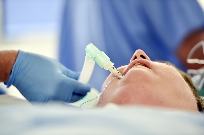 Intubated bariatric surgery patient Intubated bariatric surgery patient. Surgeon adjusting the tube in the mouth of an obese patient during bariatric surgery. Bariatrics is the branch of medicine that deals with obesity. Special techniques are used by anaesthetists and surgeons when caring for obese patients. Photographed in a UK hospital in 2014.