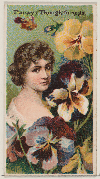 Pansy: Thoughtfulness, from the series Floral Beauties and Language of Flowers  N75  for D..., 1892. Creator: Donaldson Brothers. Pansy: Thoughtfulness, from the series Floral Beauties and Language of Flowers  N75  for Duke brand cigarettes, 1892.